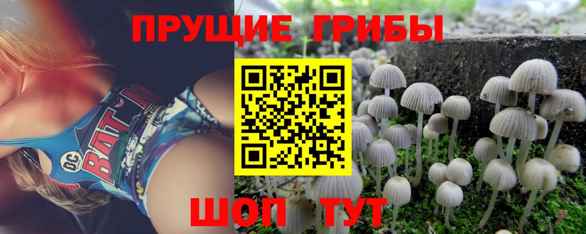 Галлюциногенные грибы прущие грибы Углич